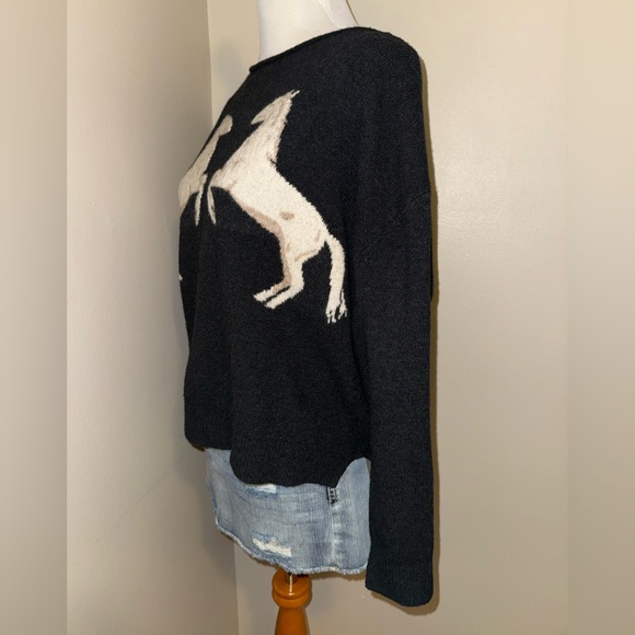 Daily Practice by Anthropologie Horse Jumper Sweater,Size-Small(Relaxed Fit) - Picture 6 of 12